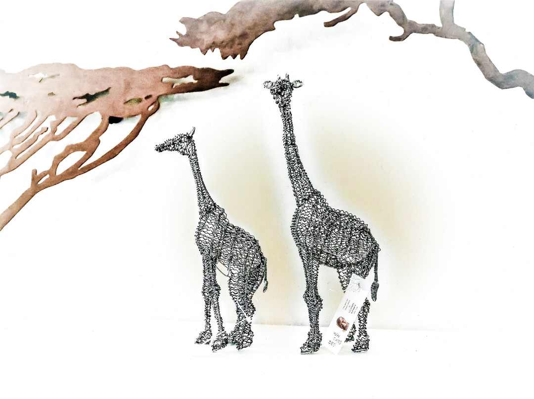 Africa Joy景点图片