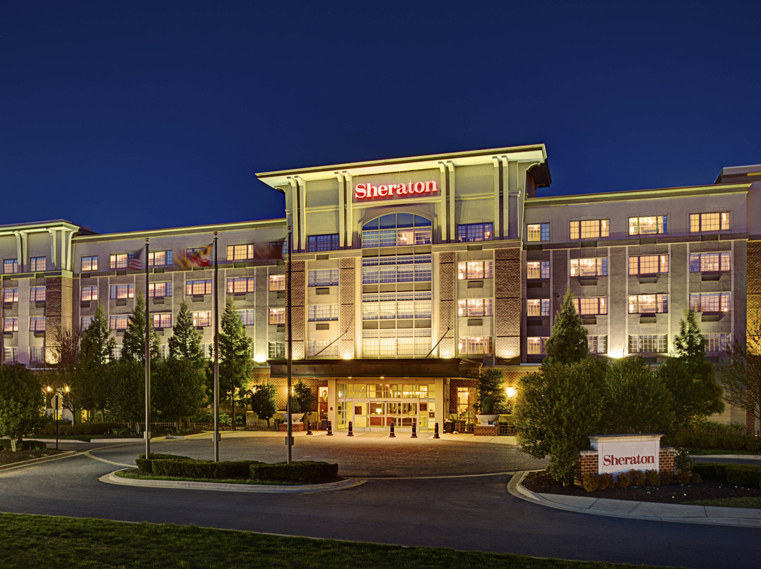 罗克维尔喜来登酒店主图