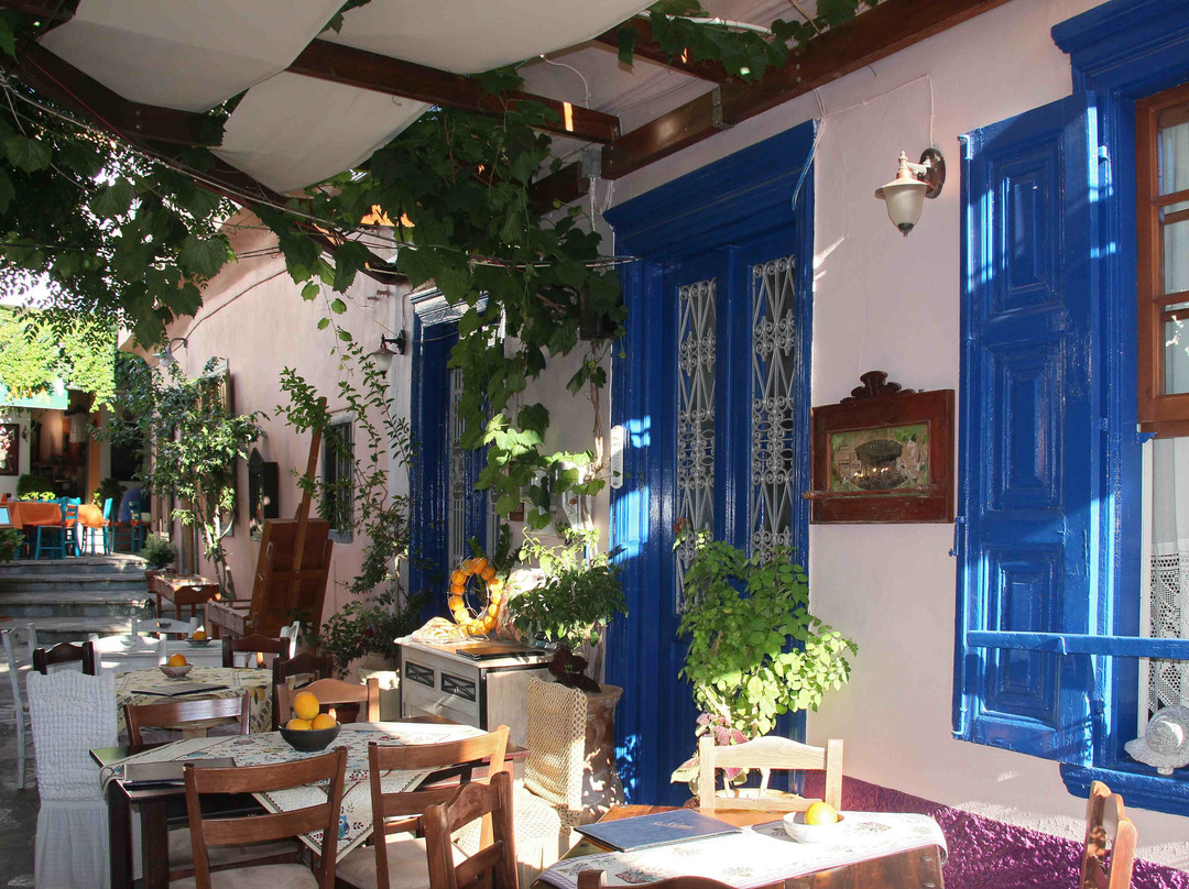 Samos Windsurfing Centre-Kokkari必去景点