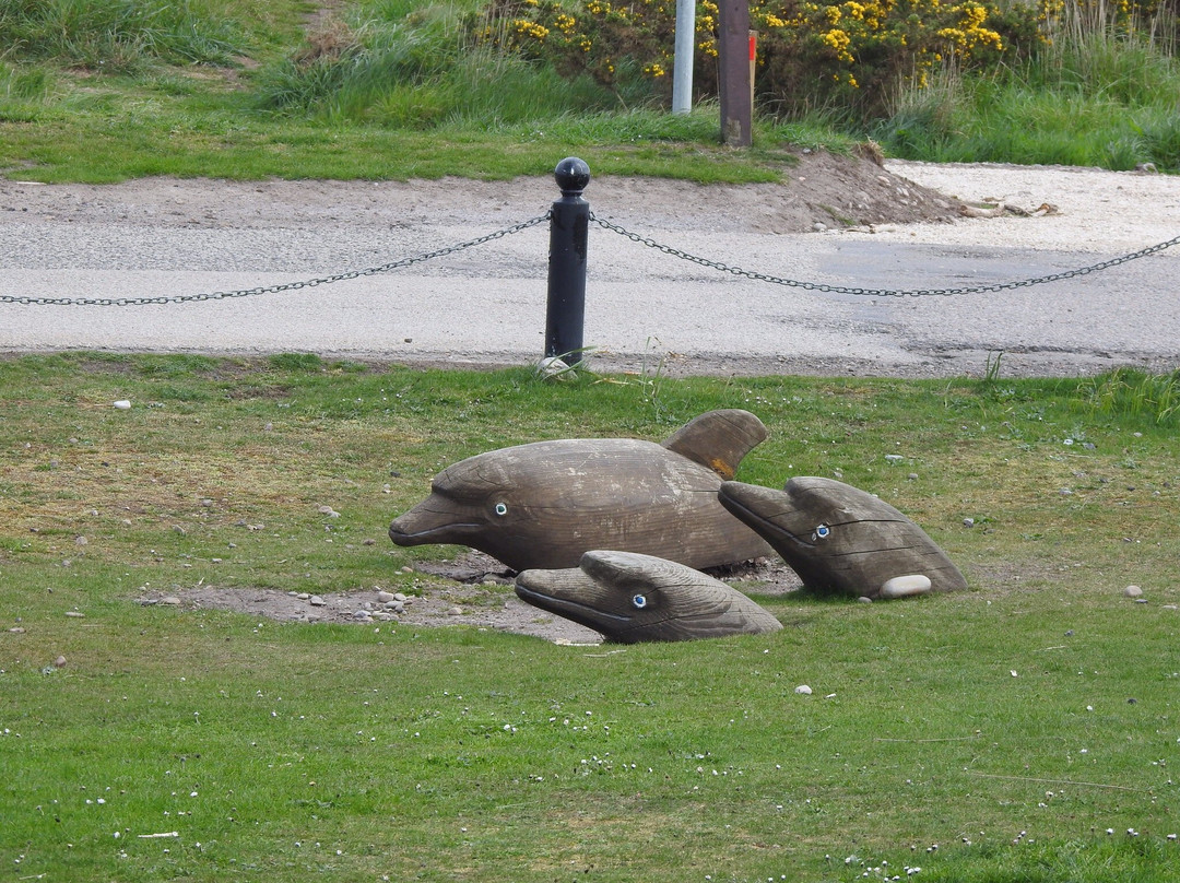 WDC Scottish Dolphin Centre景点图片