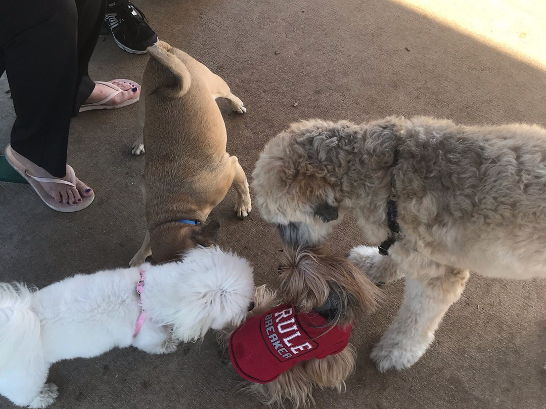 Lake Ida Dog Park-德拉海滩必去景点