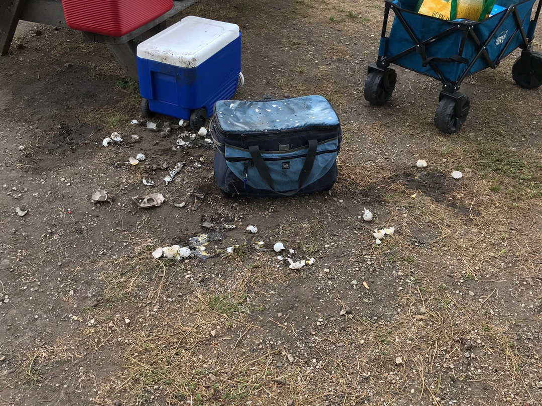 El Capitán State Beach-戈利塔必去景点