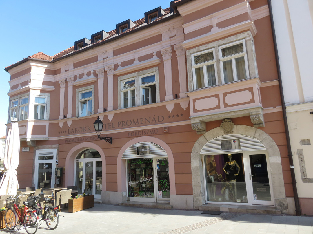 Barokk Hotel Promenad主图