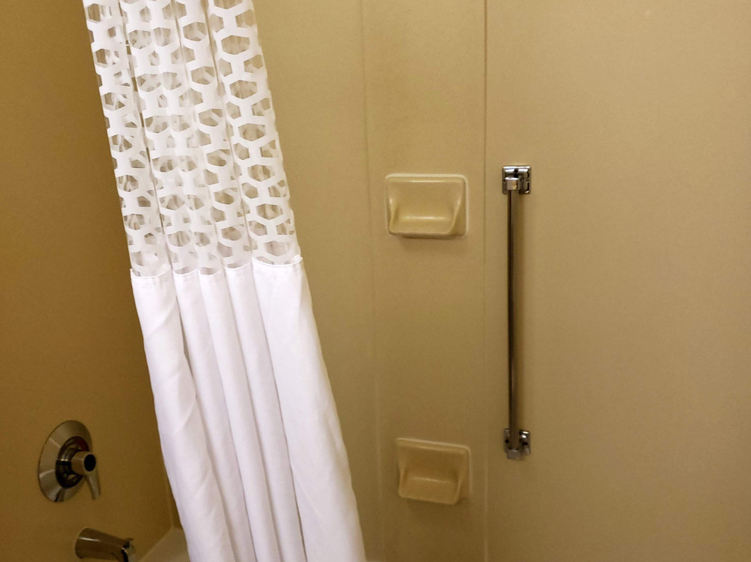 芒特霍利/西安普敦希尔顿花园旅馆主图