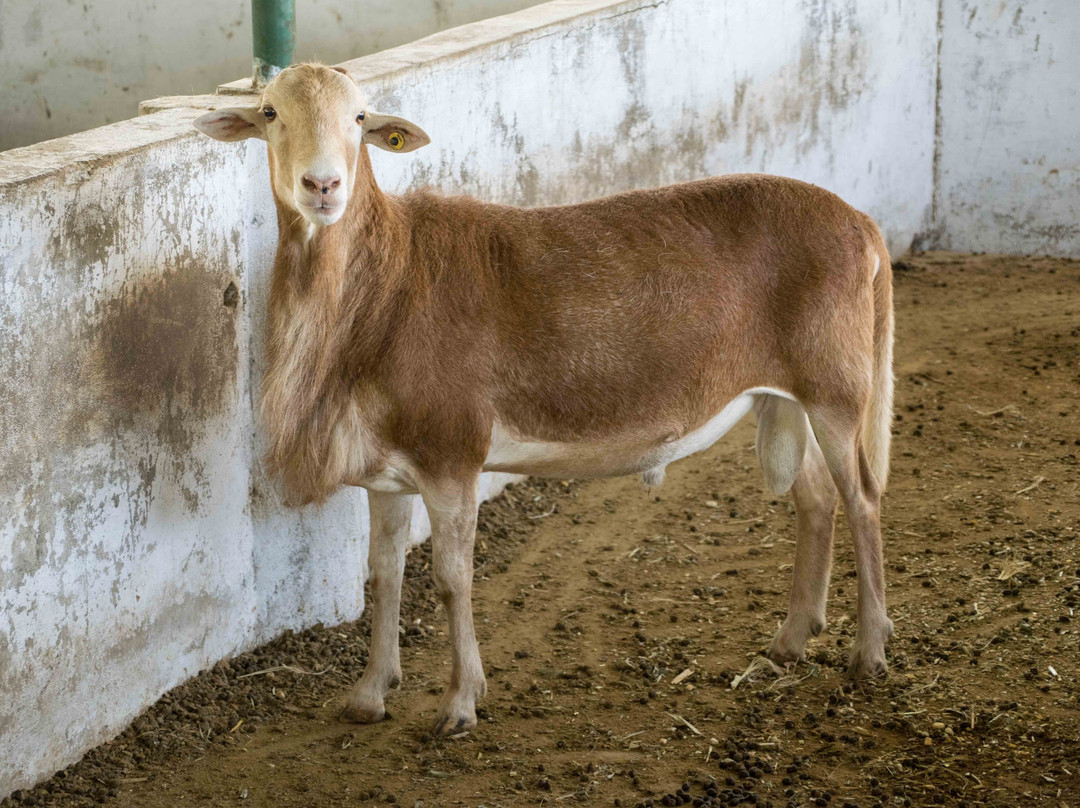 Biking Trips-内瓦必去景点