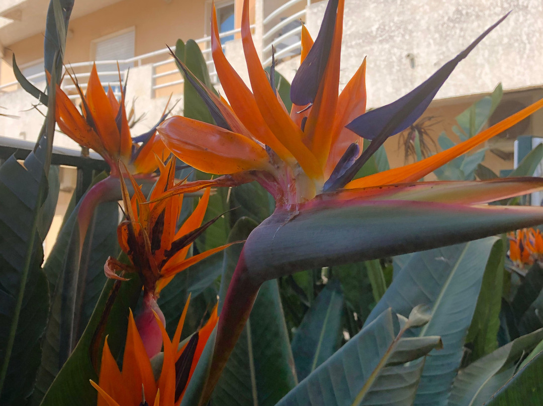 Hospedaria Sao Bras主图