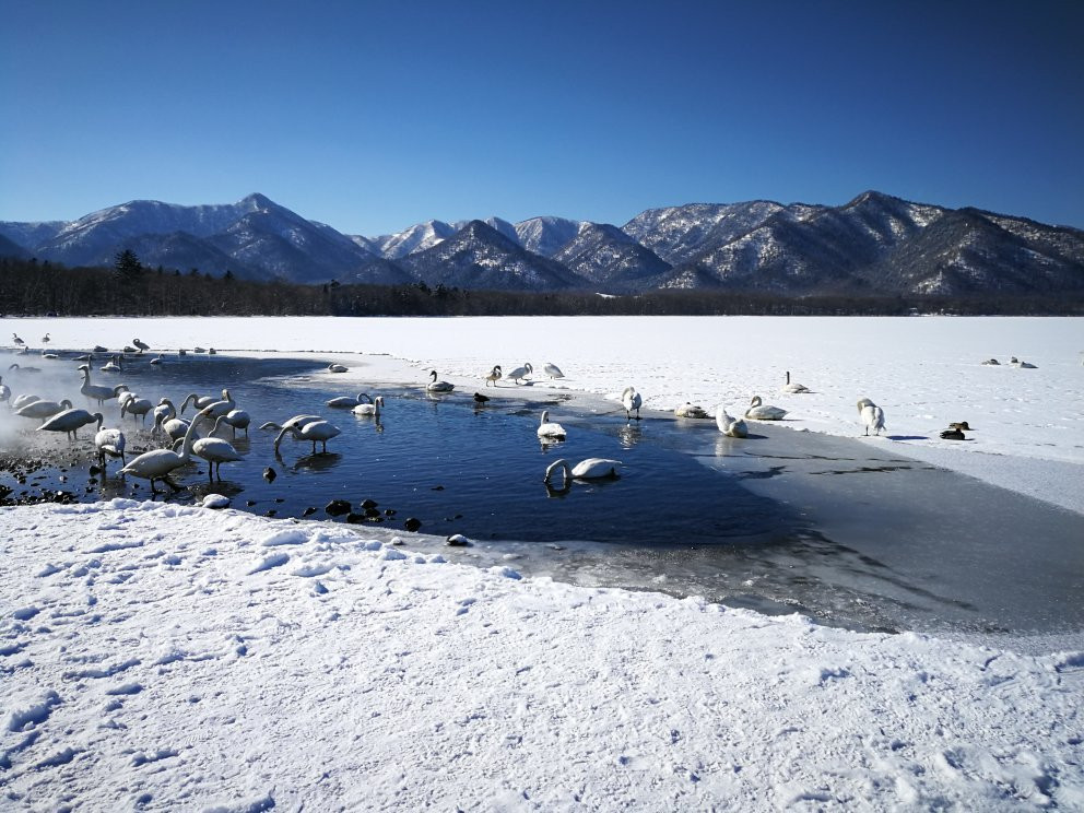 屈斜路湖景点图片