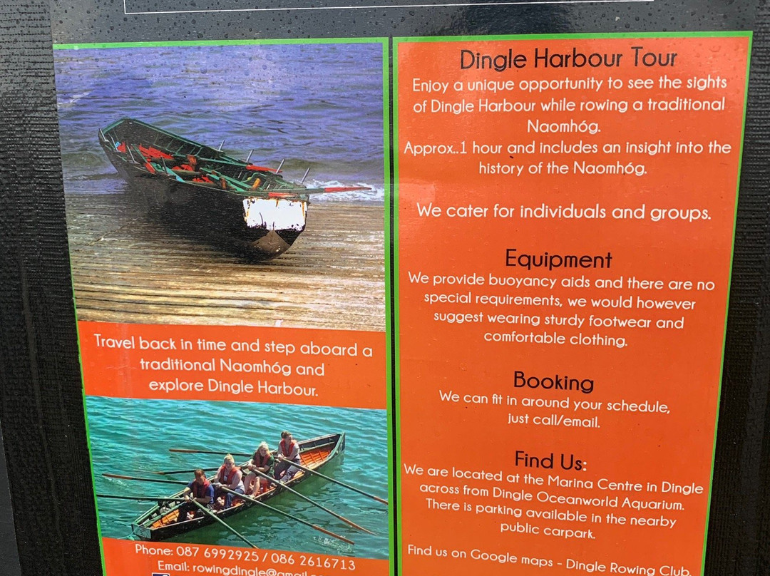 Dingle Traditional Rowing (Naomhog Experience)景点图片