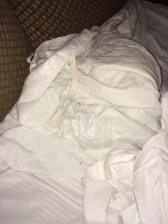 Mountain Springs Resort主图