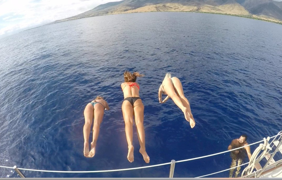 Island Star Excursions-怀露库必去景点