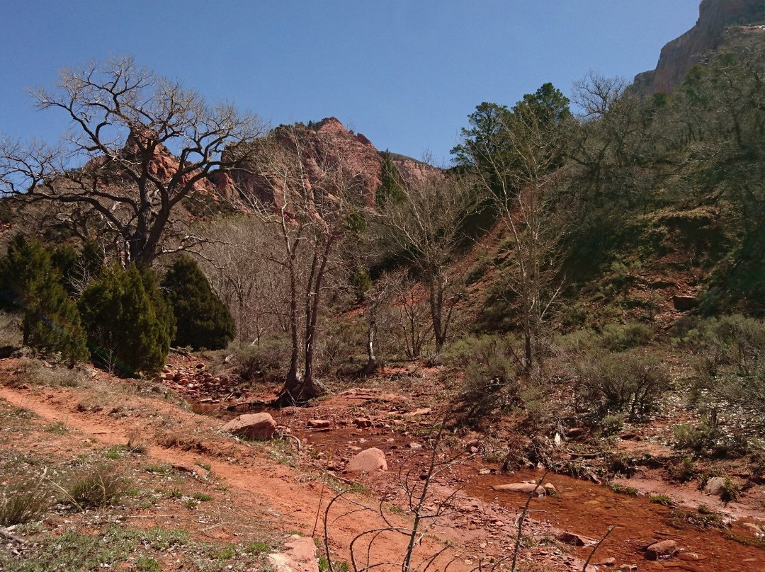 Kolob Canyons景点图片