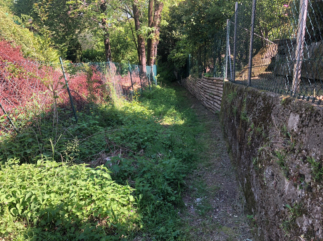 sentiero per Rebolgiane景点图片