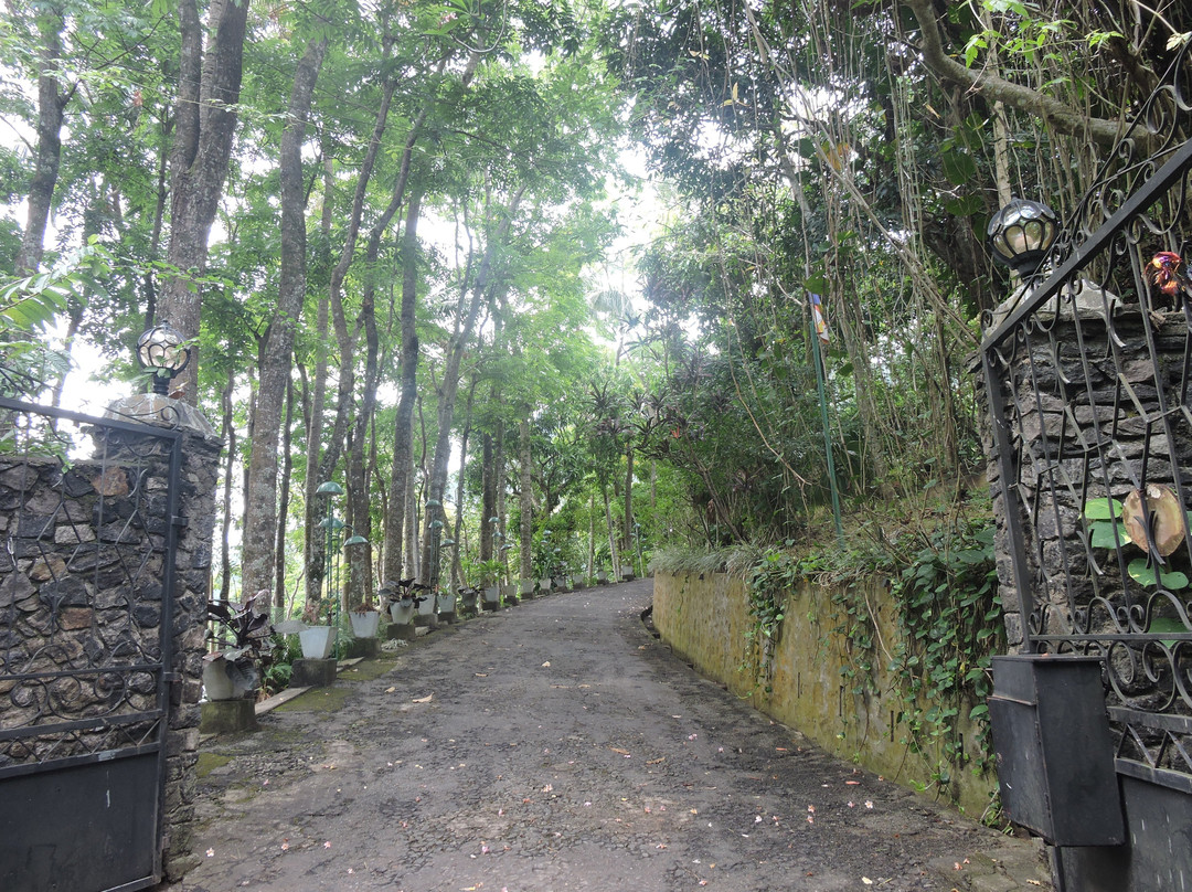 Man Mountain Villa主图