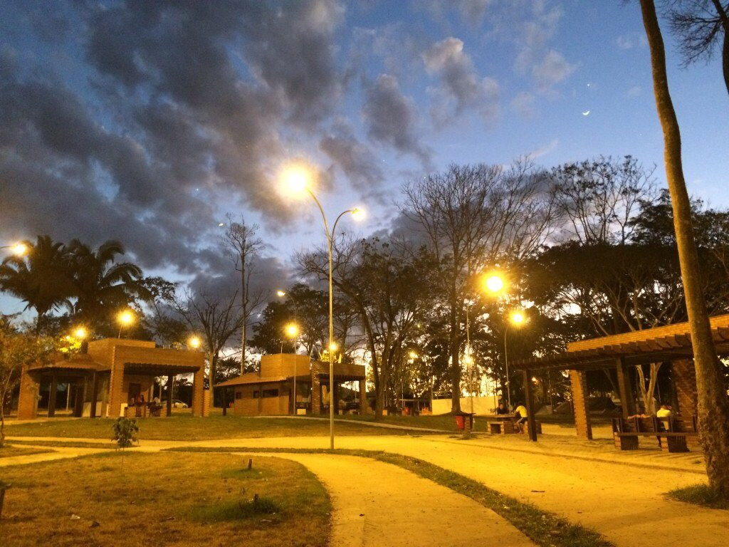 Bosque Municipal De Ouro Preto Do Oeste景点图片