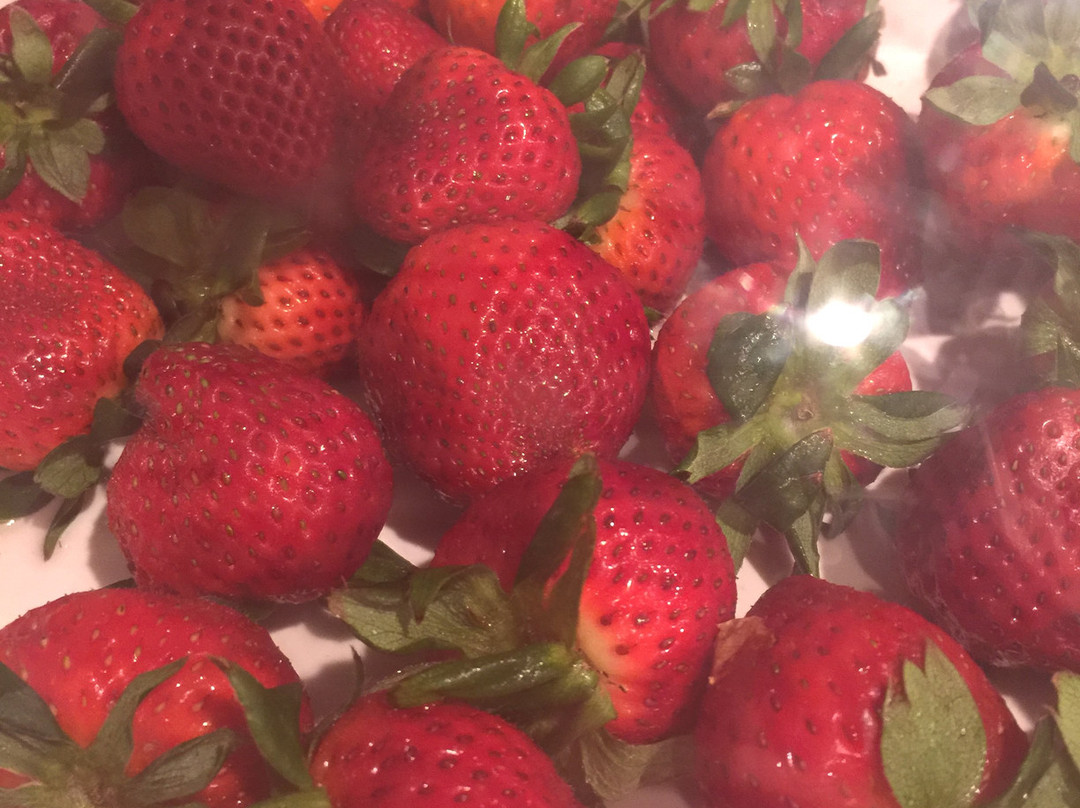 米尔福德春季山丘套房酒店主图