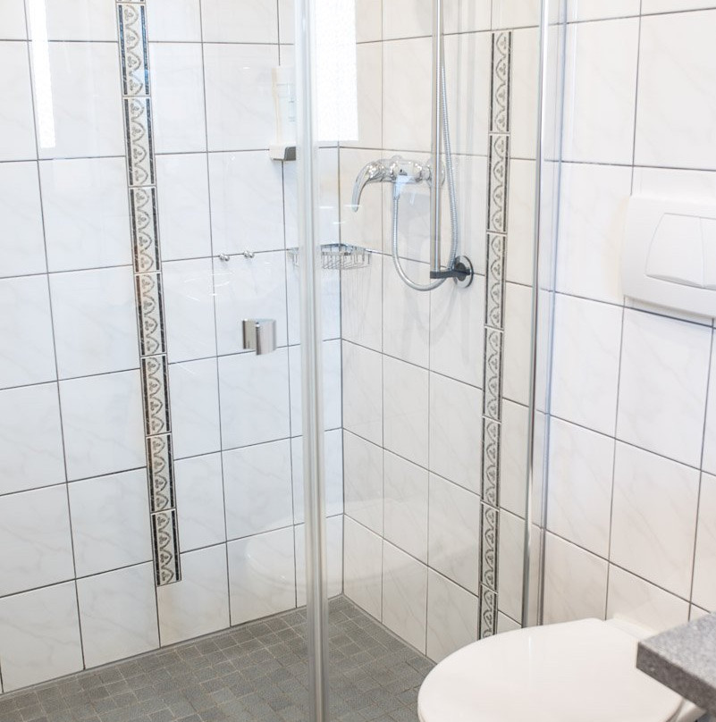 Hotel Gasthof Weisses Ross主图