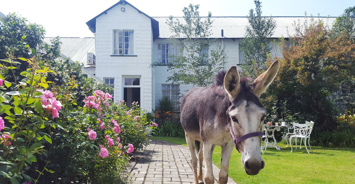 Green Lantern Inn Hotel & Gardens-官方