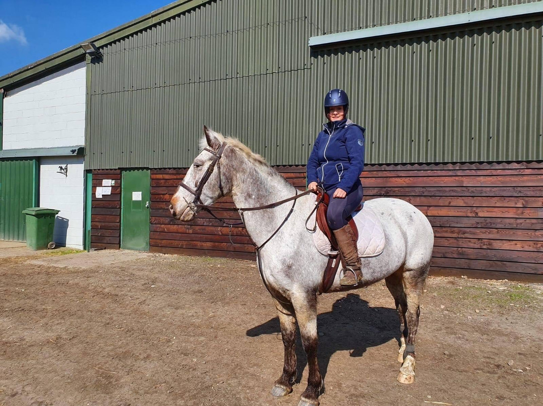 Newton Hall Equitation Ltd-Swilland必去景点