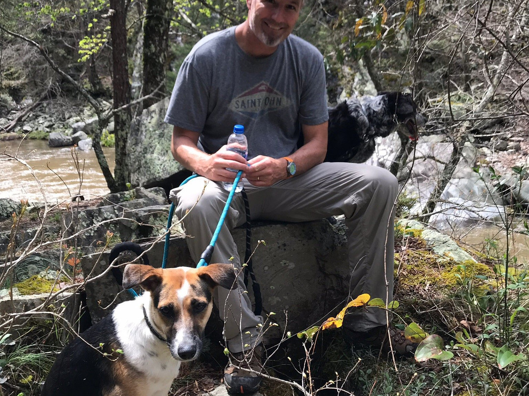 Laurel River Trail景点图片