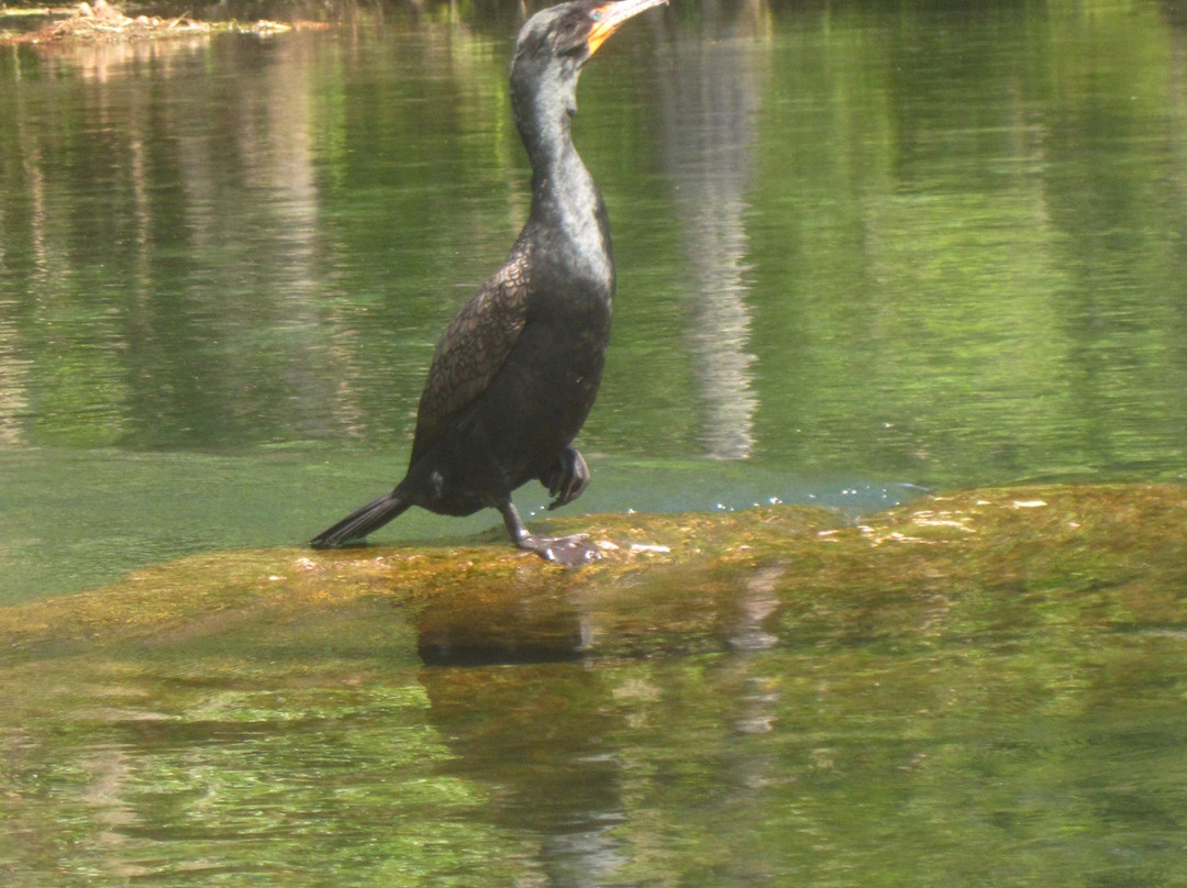 KP Hole Park-Dunnellon必去景点