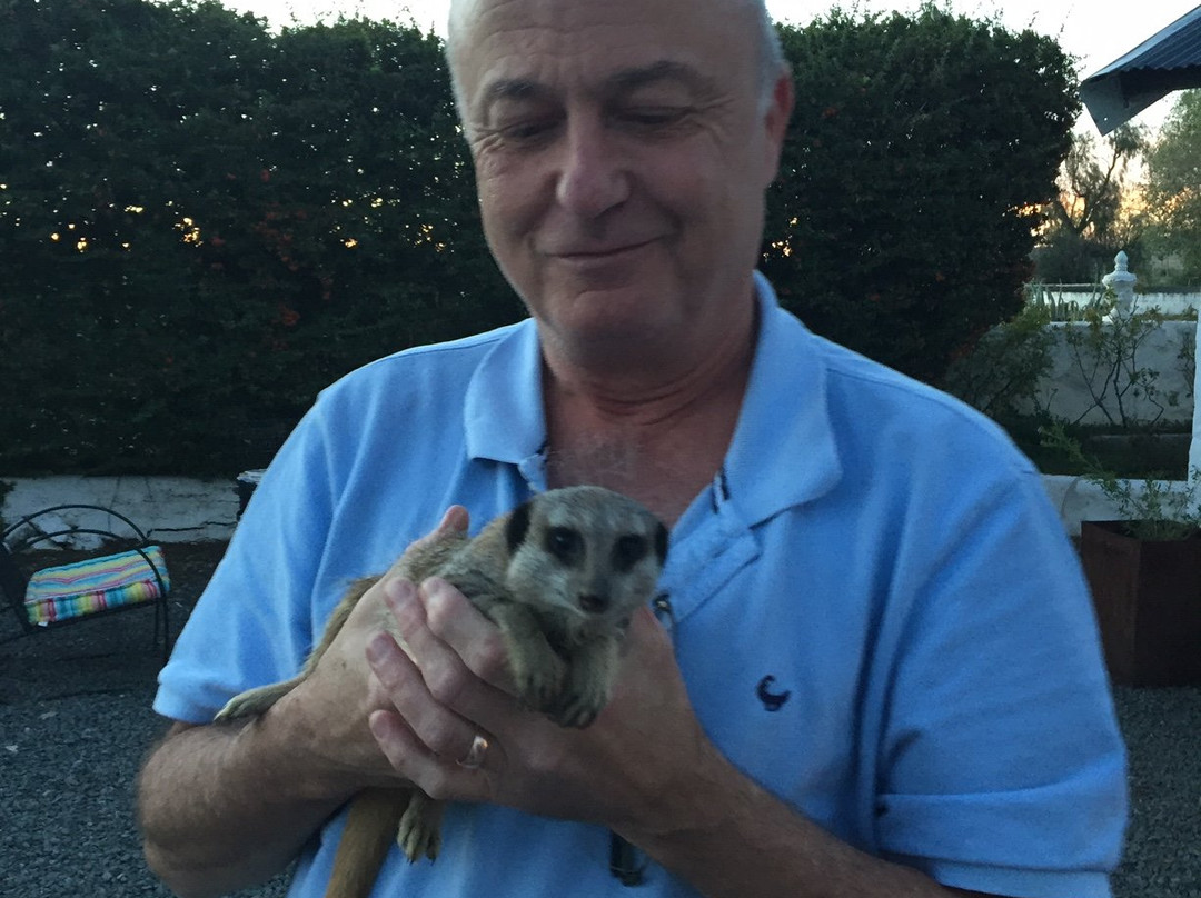 Kuilfontein Stable Cottages主图