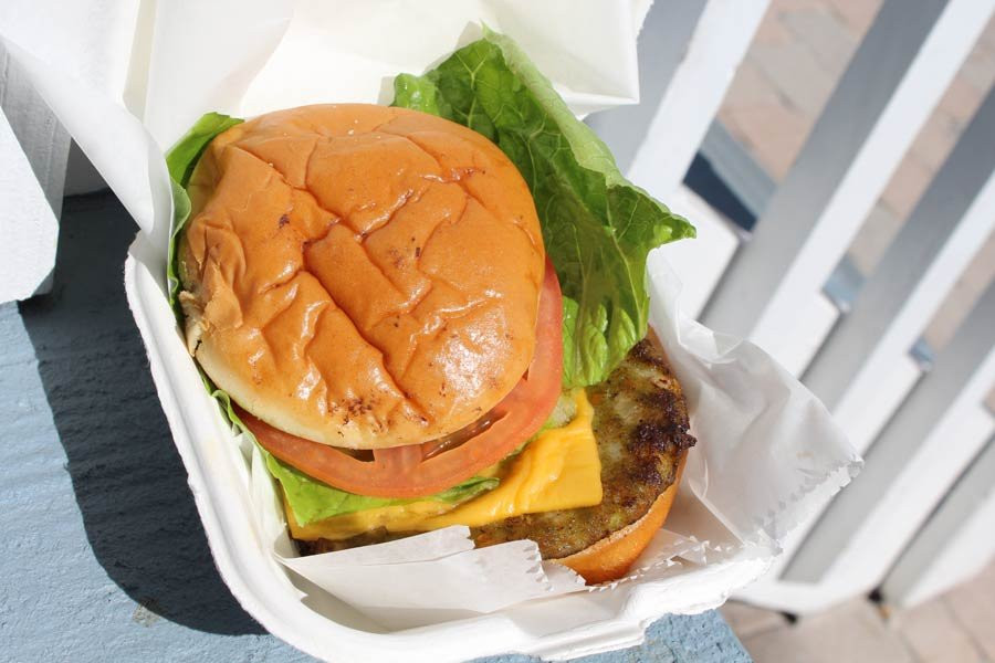 The Lazy Turtle-Turtle Shack