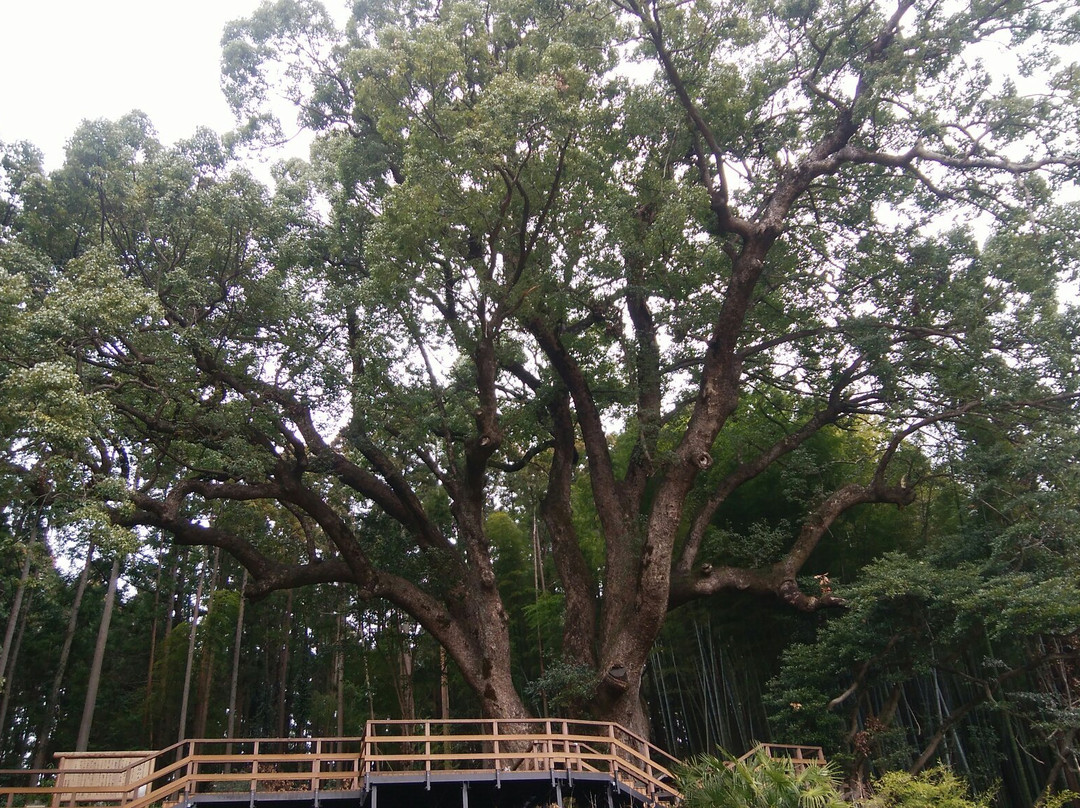 Kamiyatsuno Okusuu-越生町必去景点