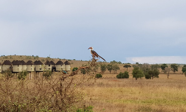 Costo Tours & Adventure Activities - Day Tours-蒙巴萨必去景点