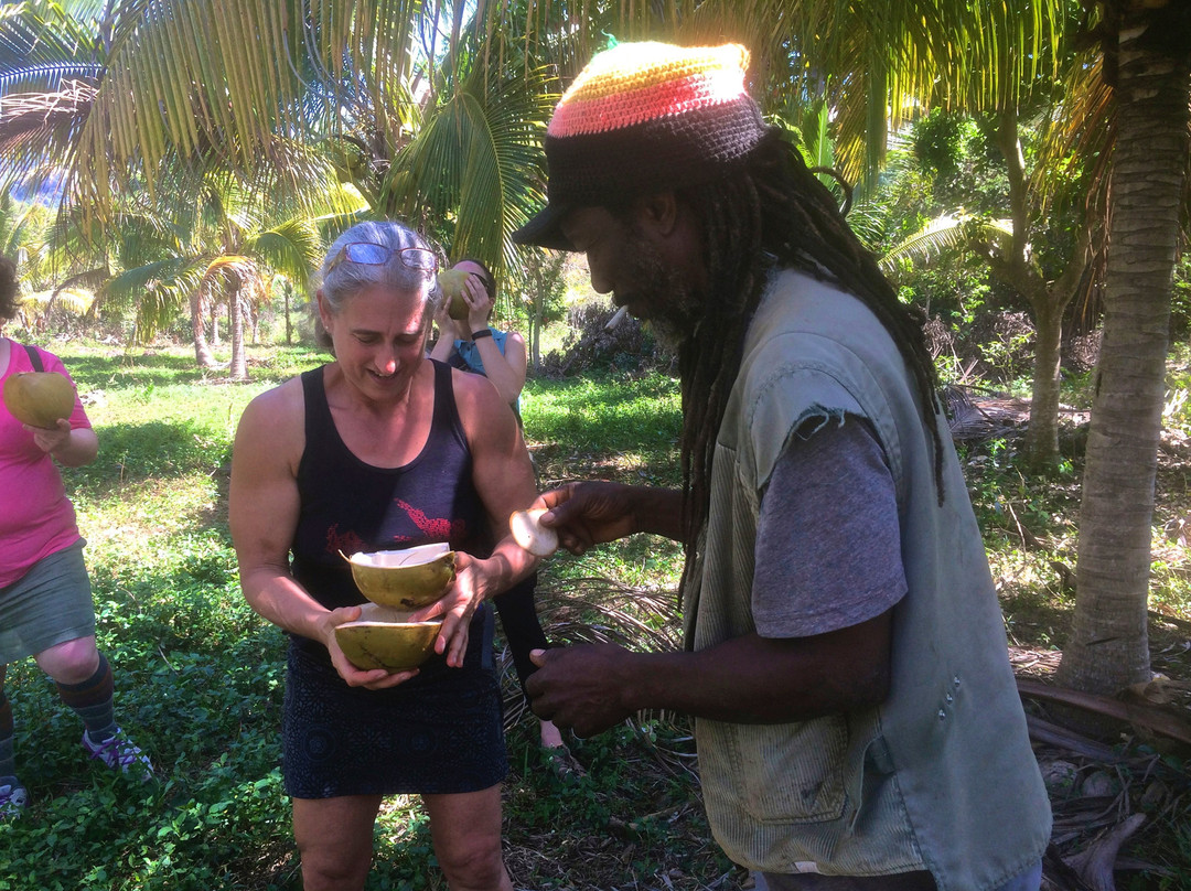 Rivertide Aikikai Jamaica Retreats景点图片