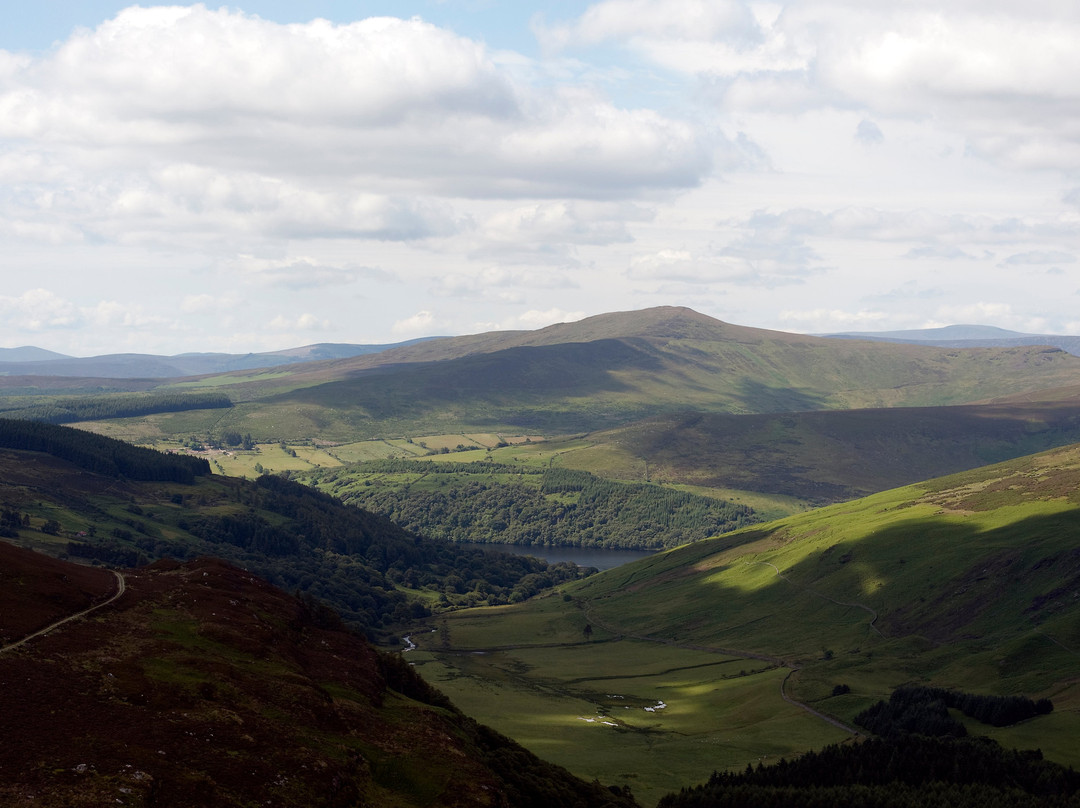 Royal Historical Tours-County Meath必去景点