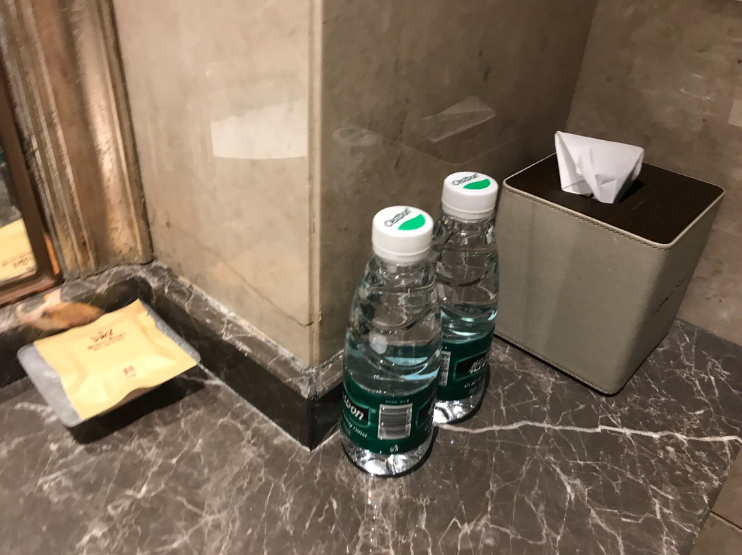 顺辉铂晶巴登酒店主图