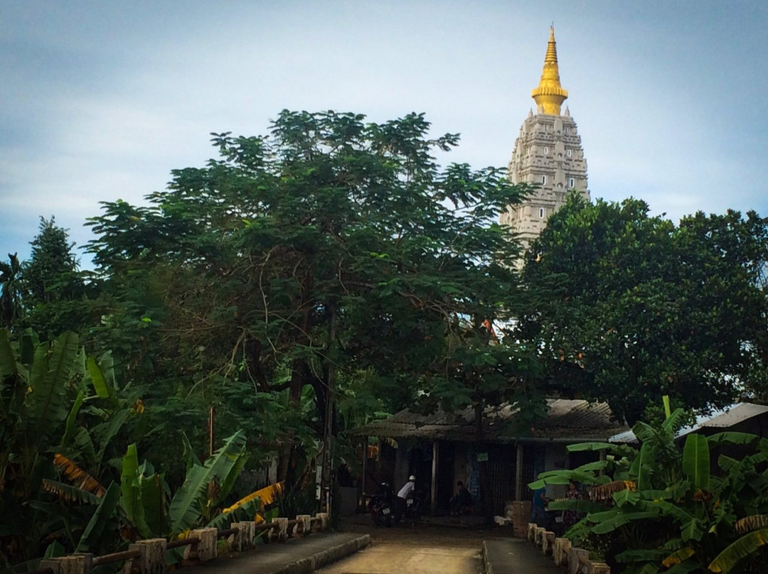 谭静园民宿主图