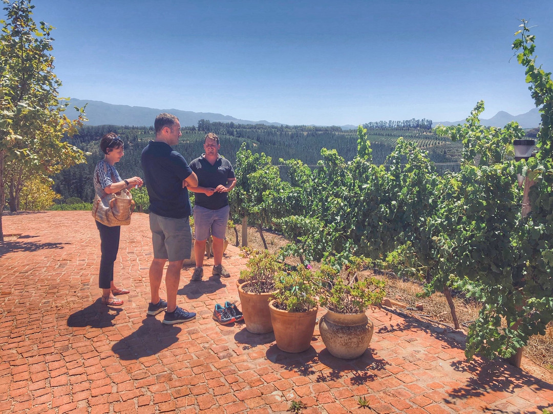 Oneiric Wines-Elgin必去景点