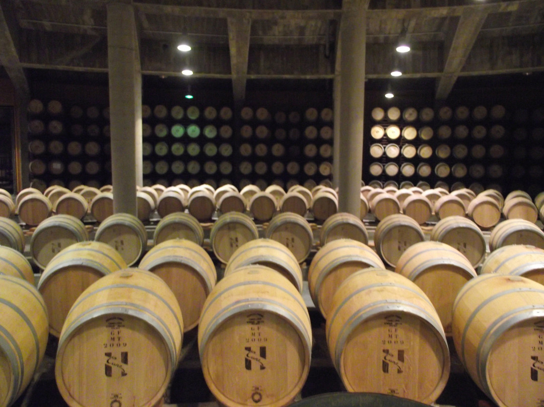 Tour Wine Crawl-Lodosa必去景点