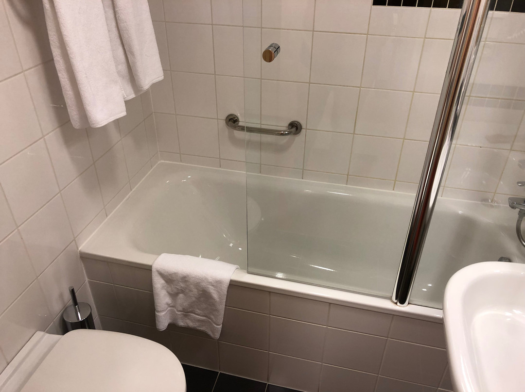 Clarion Congress Hotel Ceske Budejovice主图