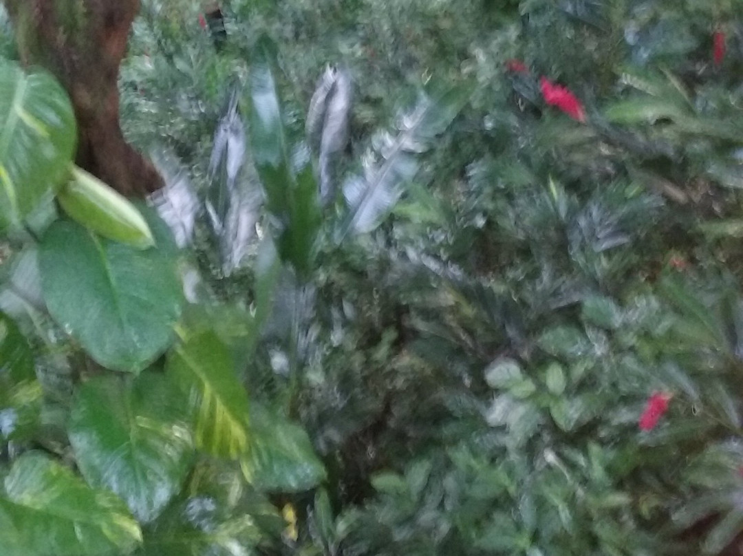 Bay View Eco Resort主图