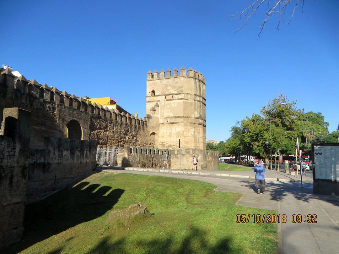 Olivares旅游景点-Walls of Seville