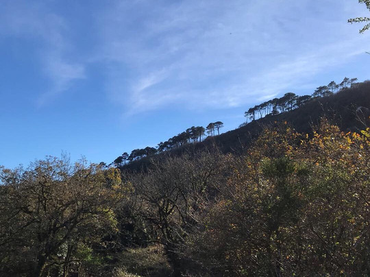 Mundo Posibilidades Ocio & Actividades-Los Barrios必去景点