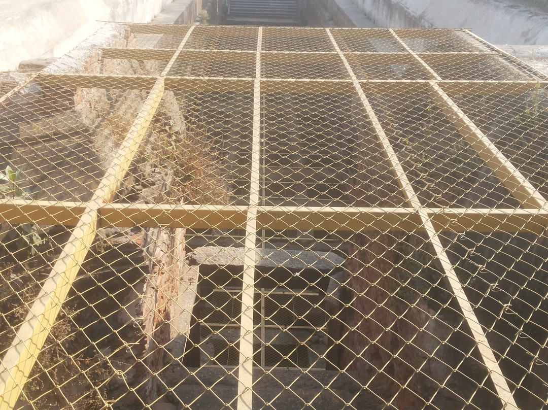 Borsad Stepwell-Borsad必去景点