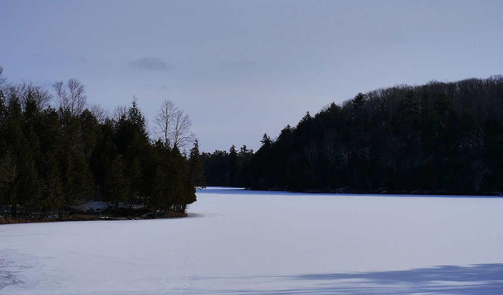 Gould Lake Conservation Area景点图片