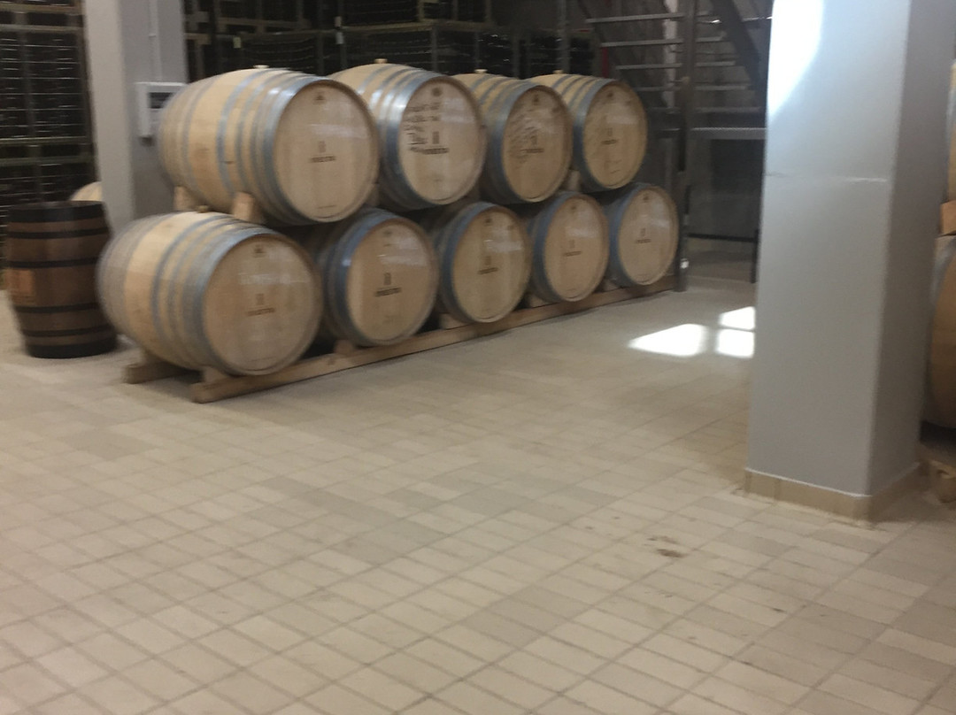 Bodega Andrés Iniesta景点图片