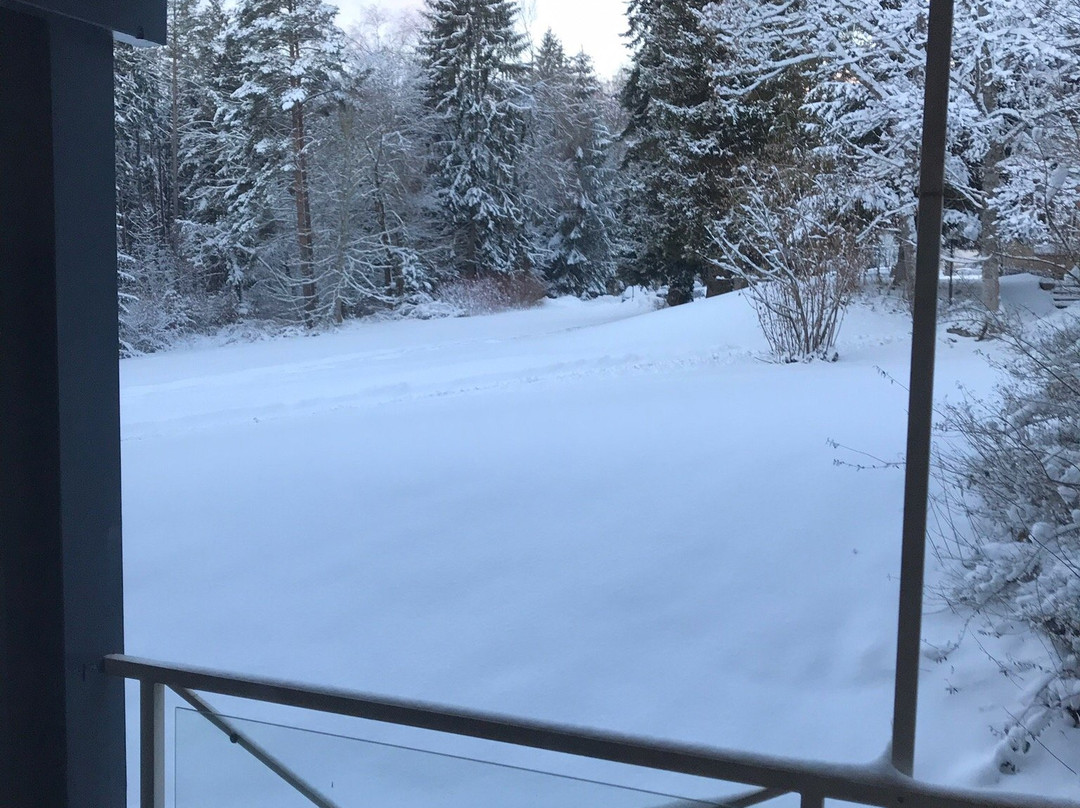 Schwarzwald Parkhotel主图
