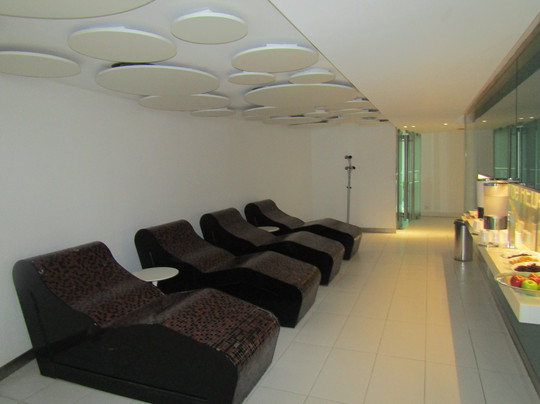 罗萨里奥市中心铂尔曼赌场酒店主图