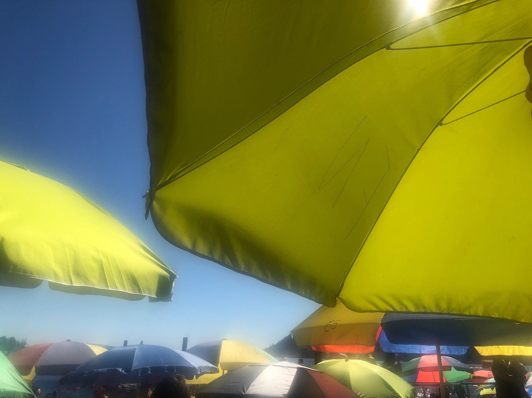 Playa Grande Lican Ray-比亚里卡必去景点