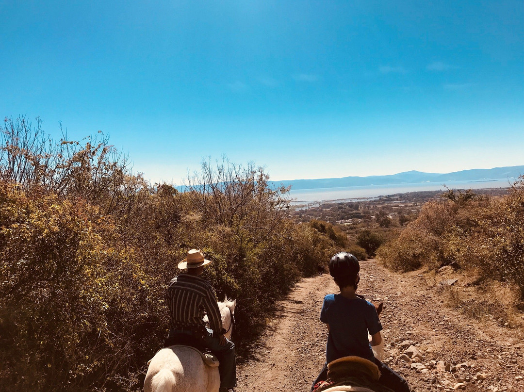 Rancho San Francisco景点图片