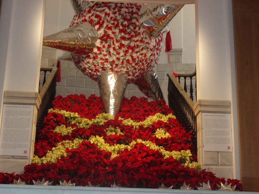 Casa De México en España-马德里必去景点