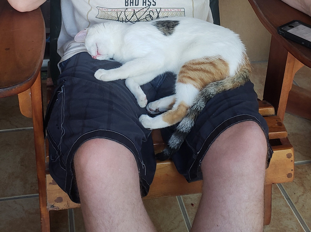 Cabinas Jimenez主图