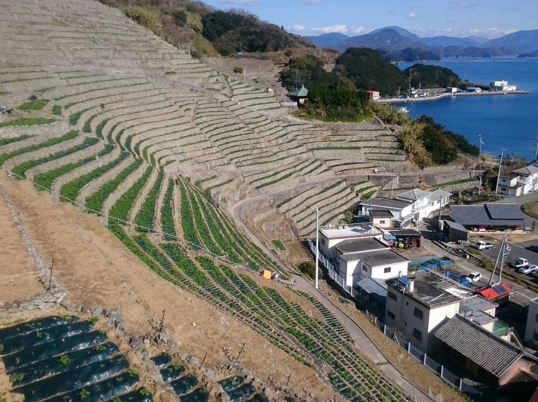 Yusumizugaura Terrace Field景点图片