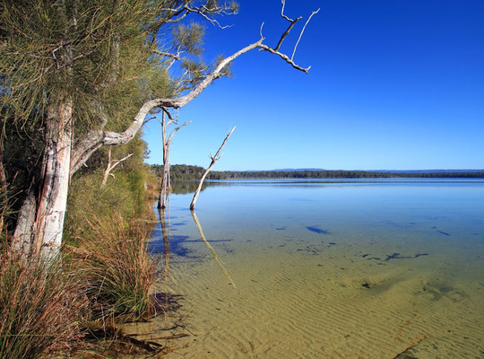 Cudmirrah旅游攻略图片