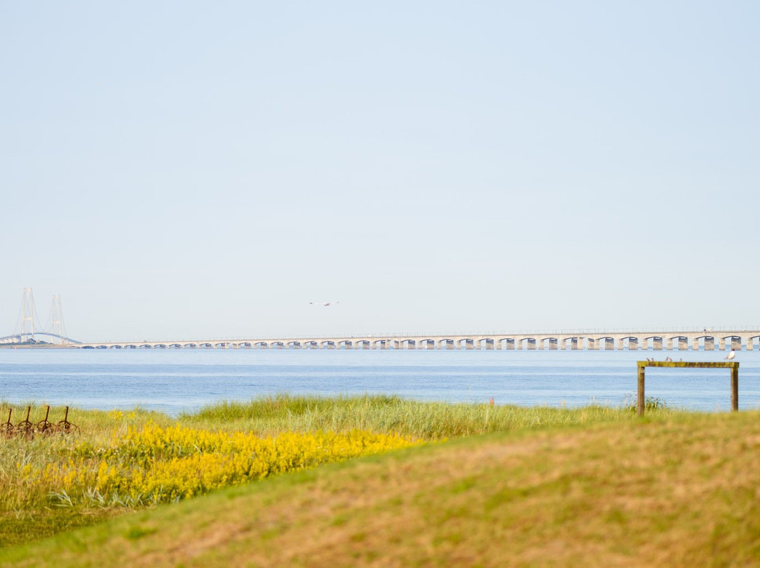 Nyborg Strandcamping Aps